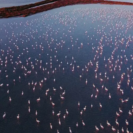 Eucaliptus Apartmán *