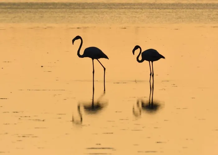 Appartement Eucaliptus L'Eucaliptus