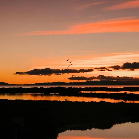 아파트 Eucaliptus