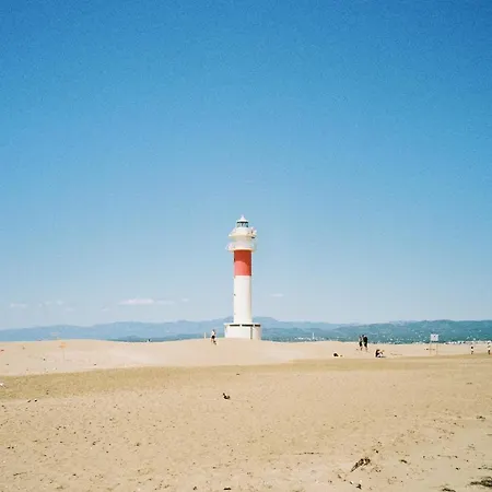 Eucaliptus * L'Eucaliptus