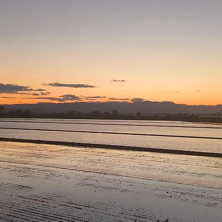 Eucaliptus 아파트