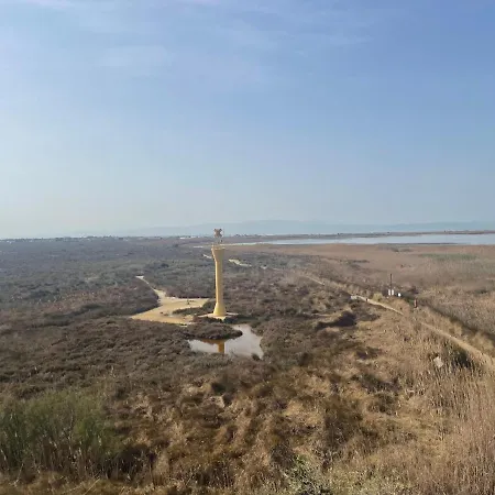 Eucaliptus Apartamento