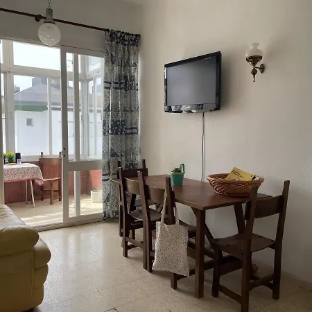 Eucaliptus L'Eucaliptus