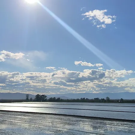 Eucaliptus Apartamento L'Eucaliptus